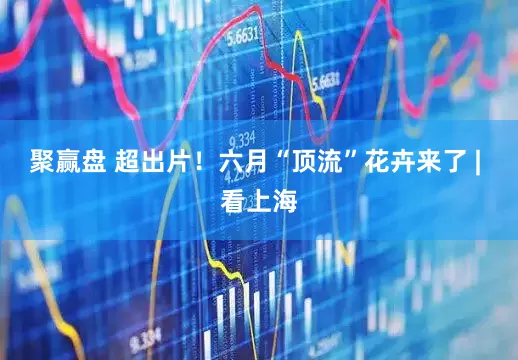 聚赢盘 超出片！六月“顶流”花卉来了 | 看上海