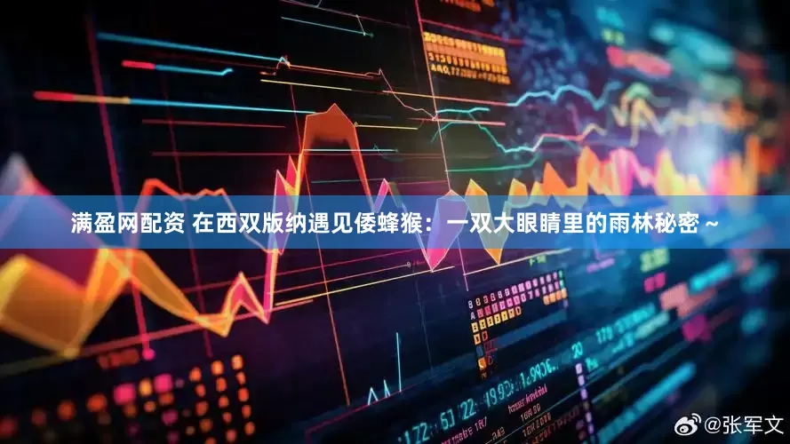 满盈网配资 在西双版纳遇见倭蜂猴：一双大眼睛里的雨林秘密～