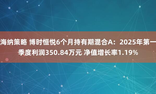 海纳策略 博时恒悦6个月持有期混合A：2025年第一季度利润350.84万元 净值增长率1.19%