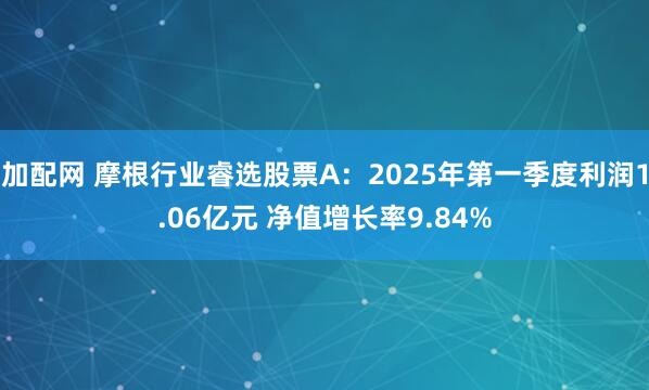 加配网 摩根行业睿选股票A：2025年第一季度利润1.06亿元 净值增长率9.84%