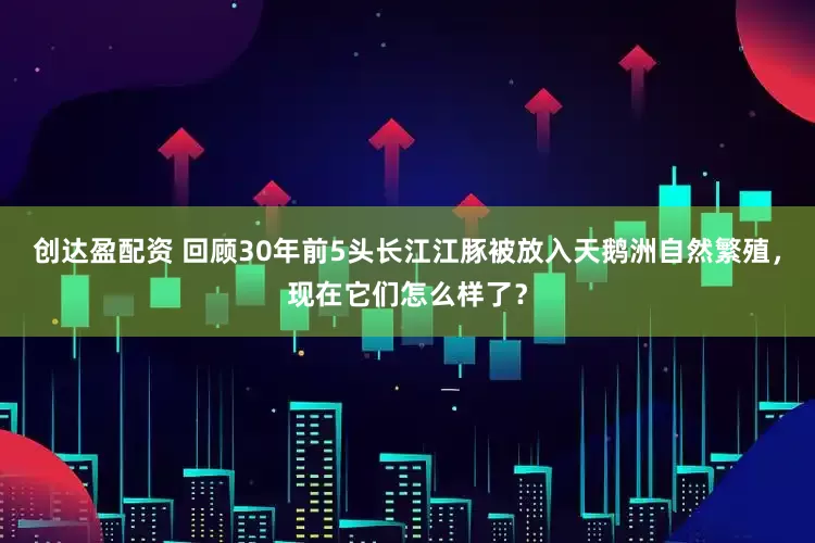 创达盈配资 回顾30年前5头长江江豚被放入天鹅洲自然繁殖，现在它们怎么样了？