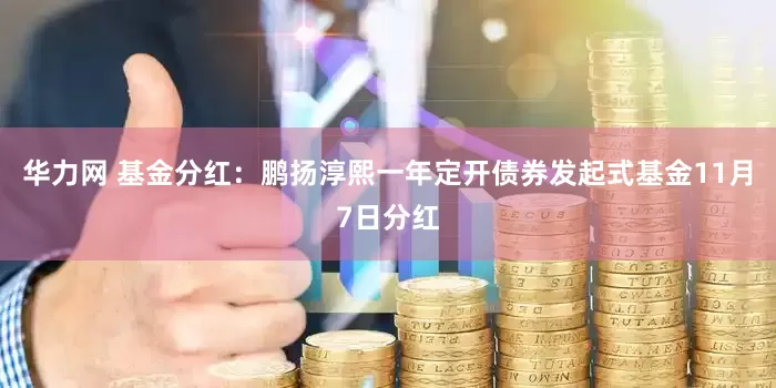 华力网 基金分红：鹏扬淳熙一年定开债券发起式基金11月7日分红
